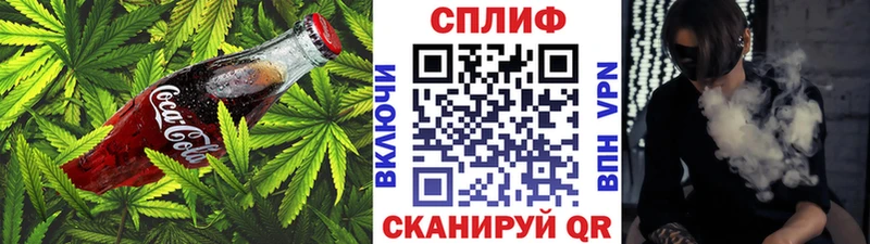 Cannafood конопля Ленинск