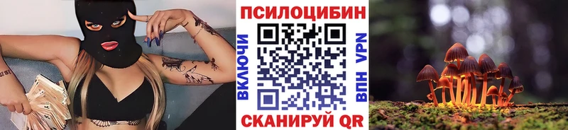 Псилоцибиновые грибы мицелий  наркота  Ленинск 